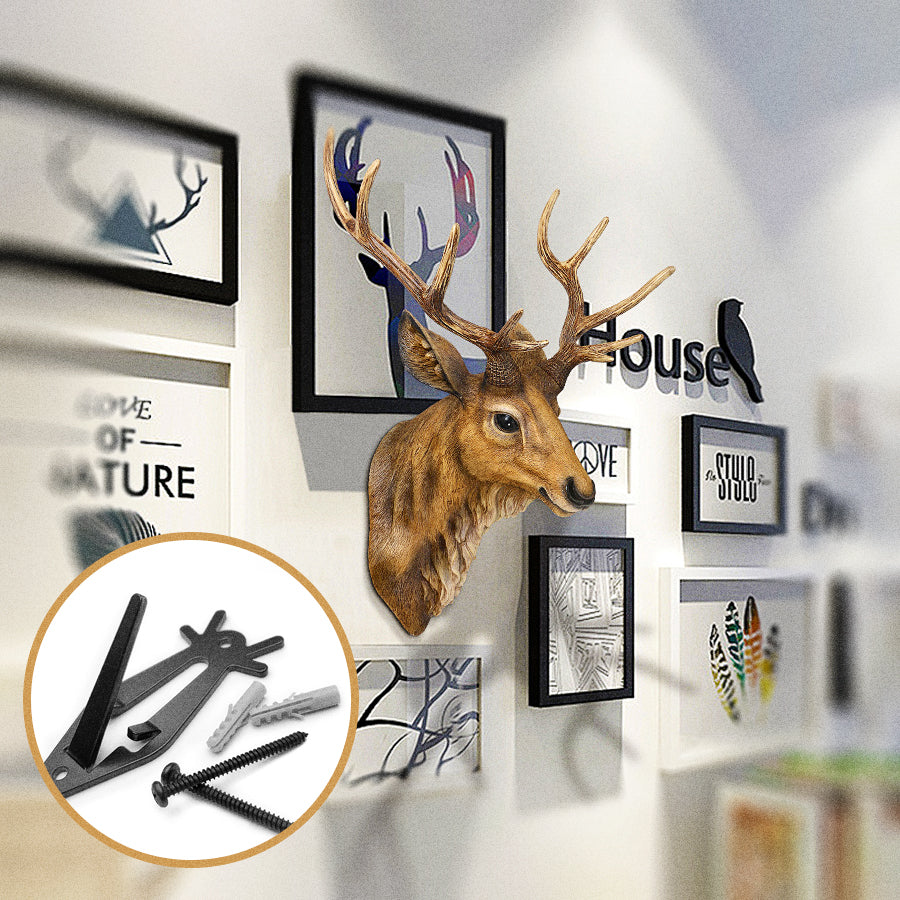 6-Pack European Skull Mount Hanger – Stainless Steel Deer & Antler Wall Hook, Black Euro Mount for Elk, Cow, and Deer Skulls