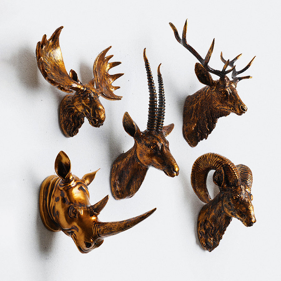 6-Pack European Skull Mount Hanger – Stainless Steel Deer & Antler Wall Hook, Black Euro Mount for Elk, Cow, and Deer Skulls